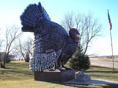 What a turkey,  "Big Tom - the Turkey" in Frazee MN (population 1391)