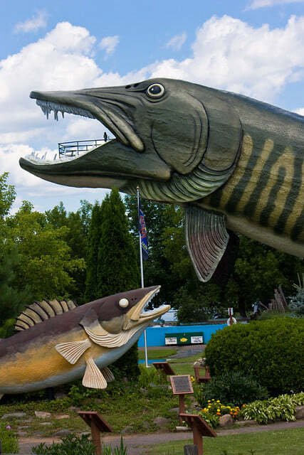 The fish that didn't get away  "Big Musky" at the Fishing Hall of Fame in Hayward WI (population 2,300)