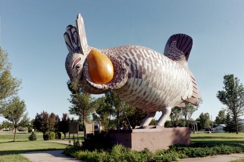 Not just a chicken, but the World’s Largest Booming Prairie Chicken in Rothsay, Minnesota (population 493)