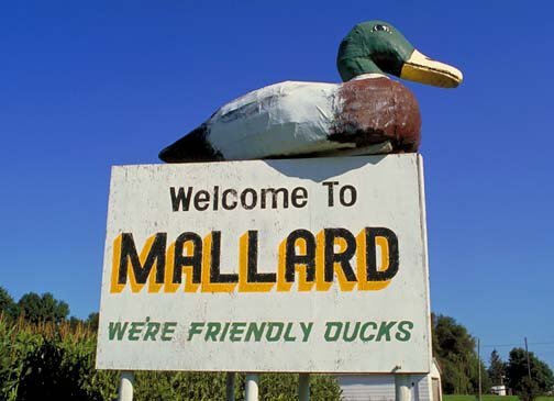 You can find some friendly ducks in Mallard IA (population 265)