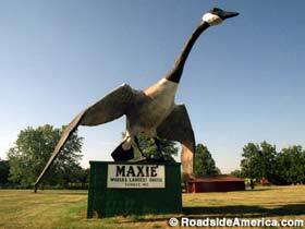 I think I saw a goose, Maxie, World's Largest Goose in Sumner, Missouri