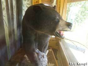 It's not Yogi Bear, but in fact a 665-lb World Record Stuffed Bear in Glidden, Wisconsin