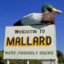 You can find some friendly ducks in Mallard IA (population 265)