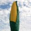 Not just a gazebo but a "Giant Corn Gazebo" in Olivia MN